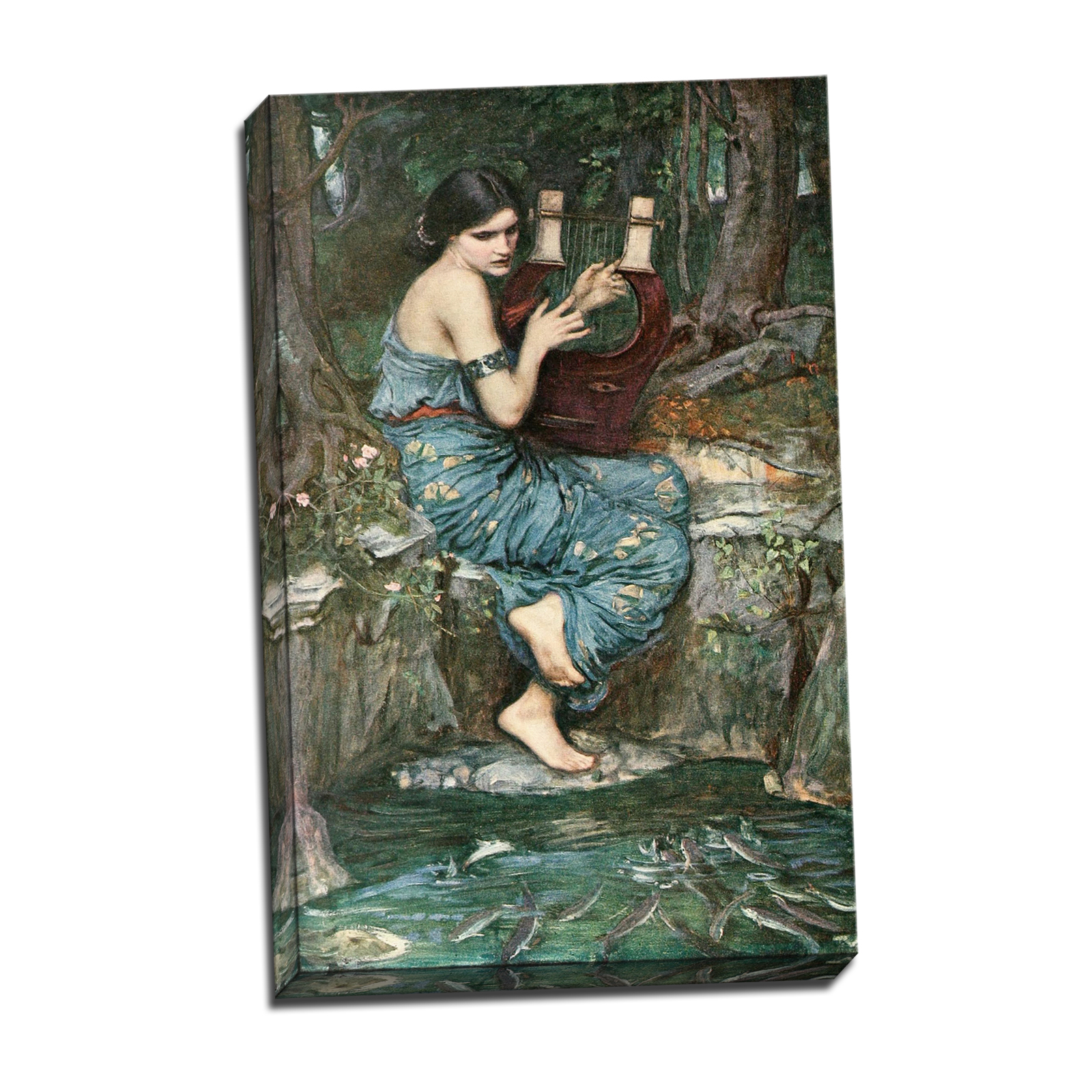 V04-20S-Reflected-Border