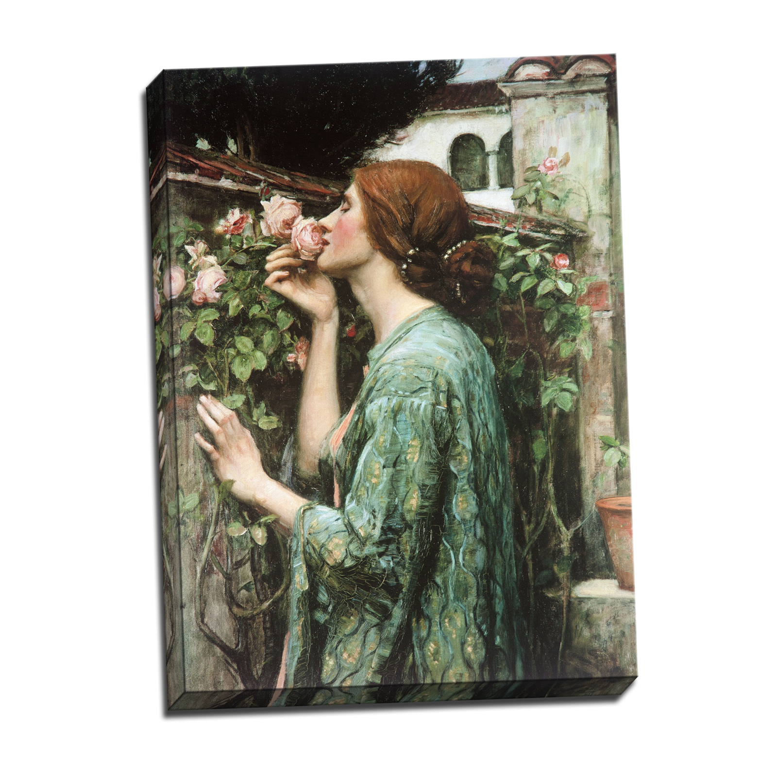 V04-25S-Reflected-Border