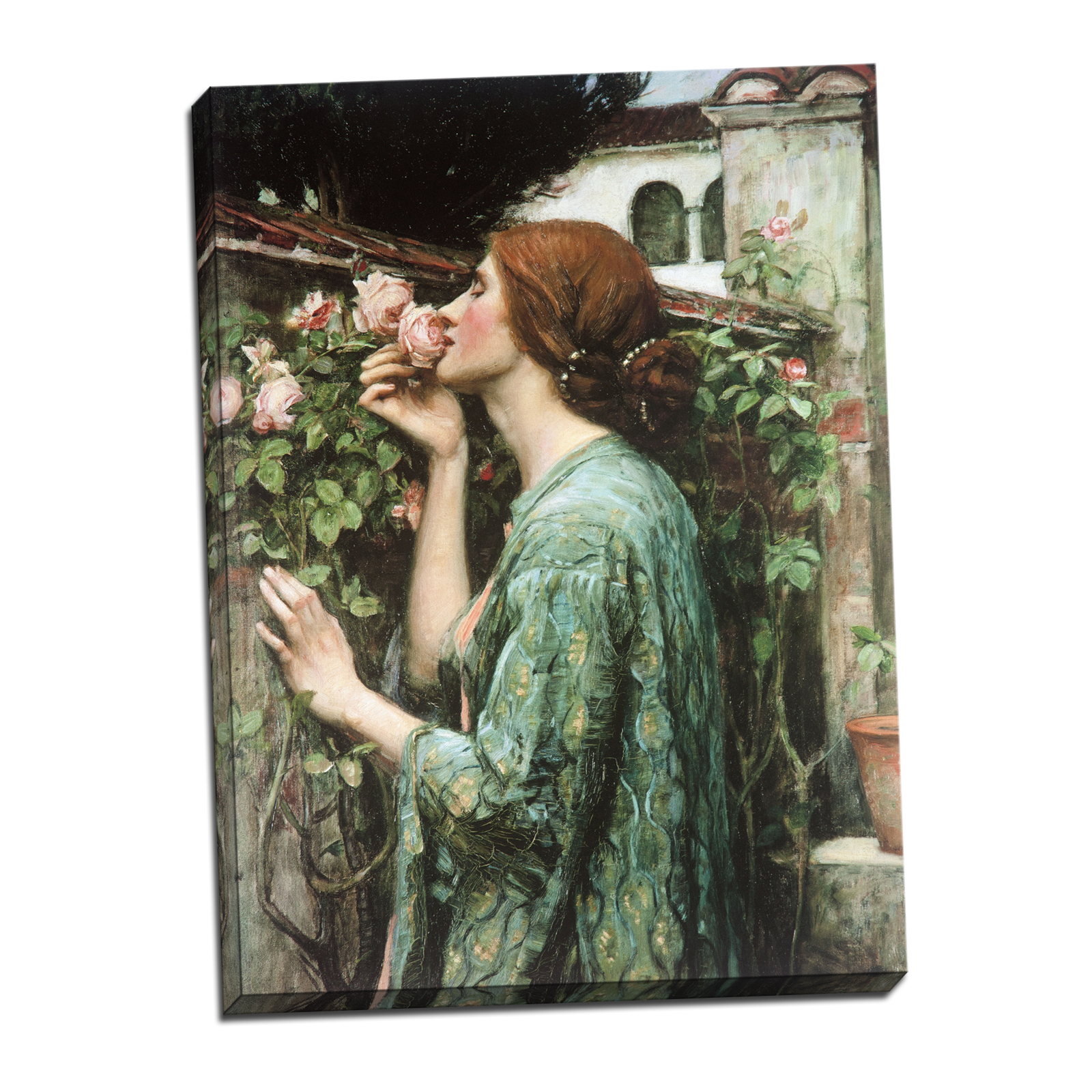 V04-26S-Reflected-Border