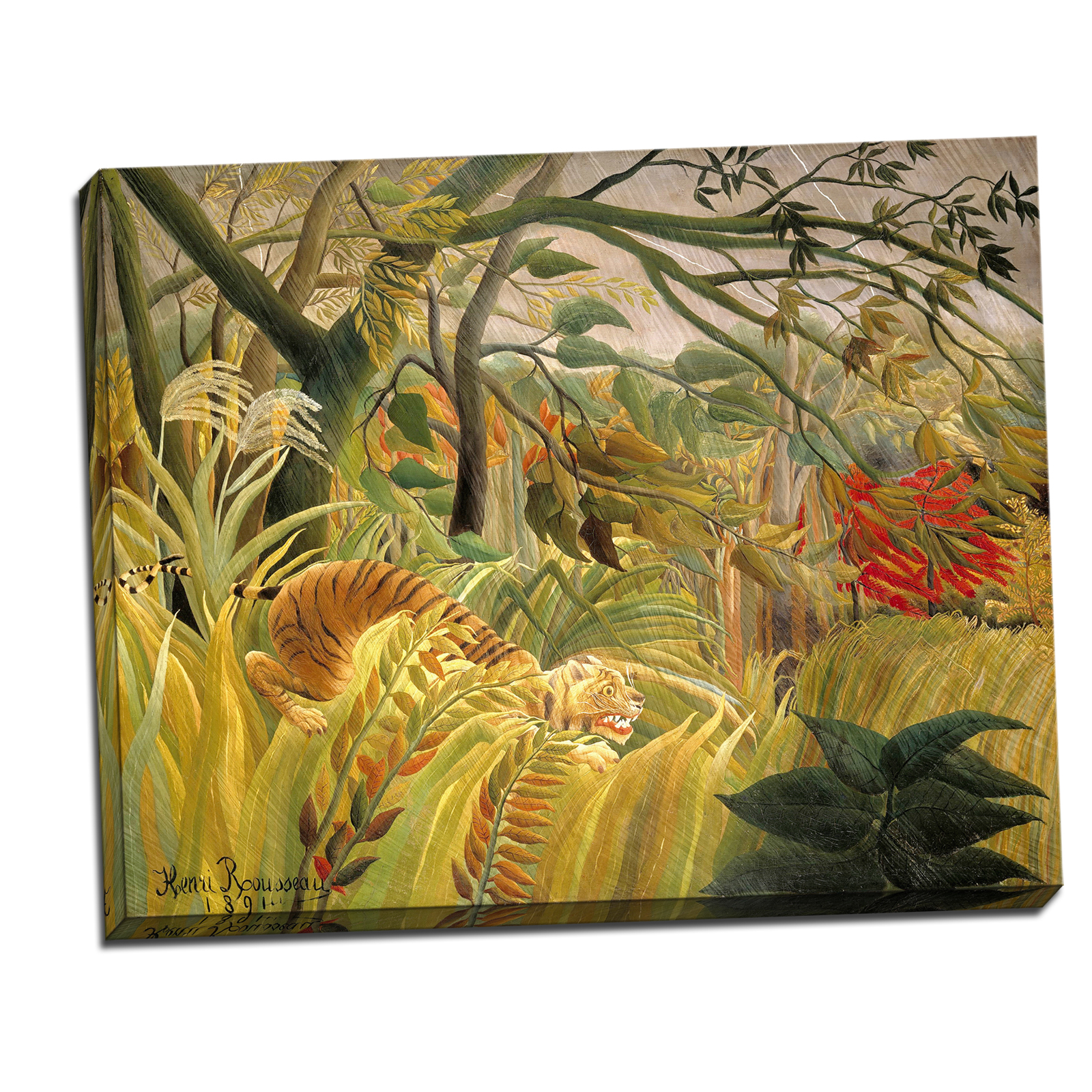 V05-19S-Reflected-Border