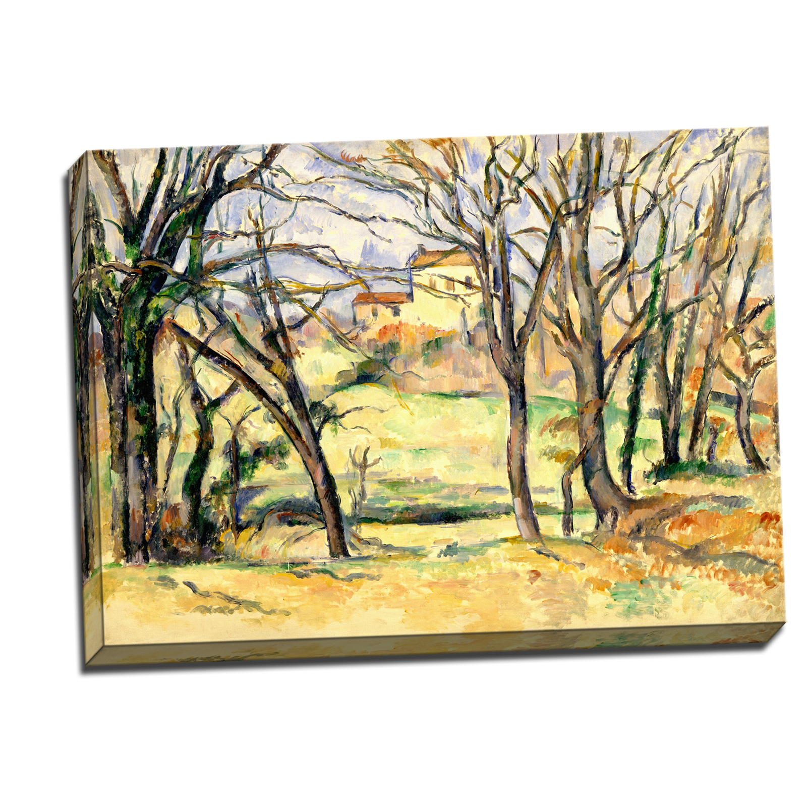 V06-15S-Reflected-Border