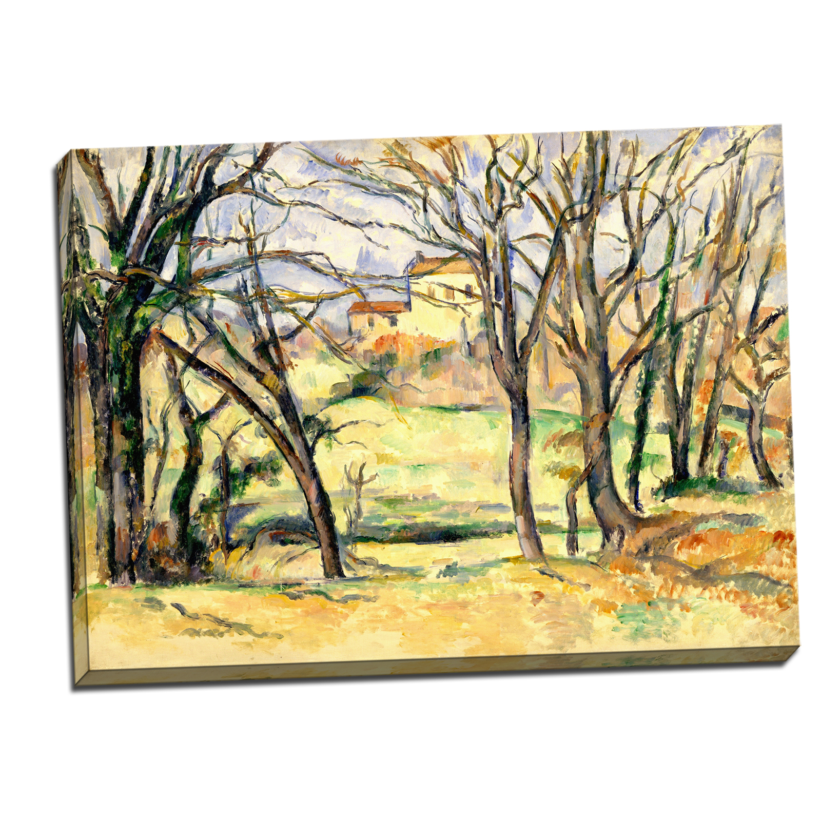 V06-16S-Reflected-Border