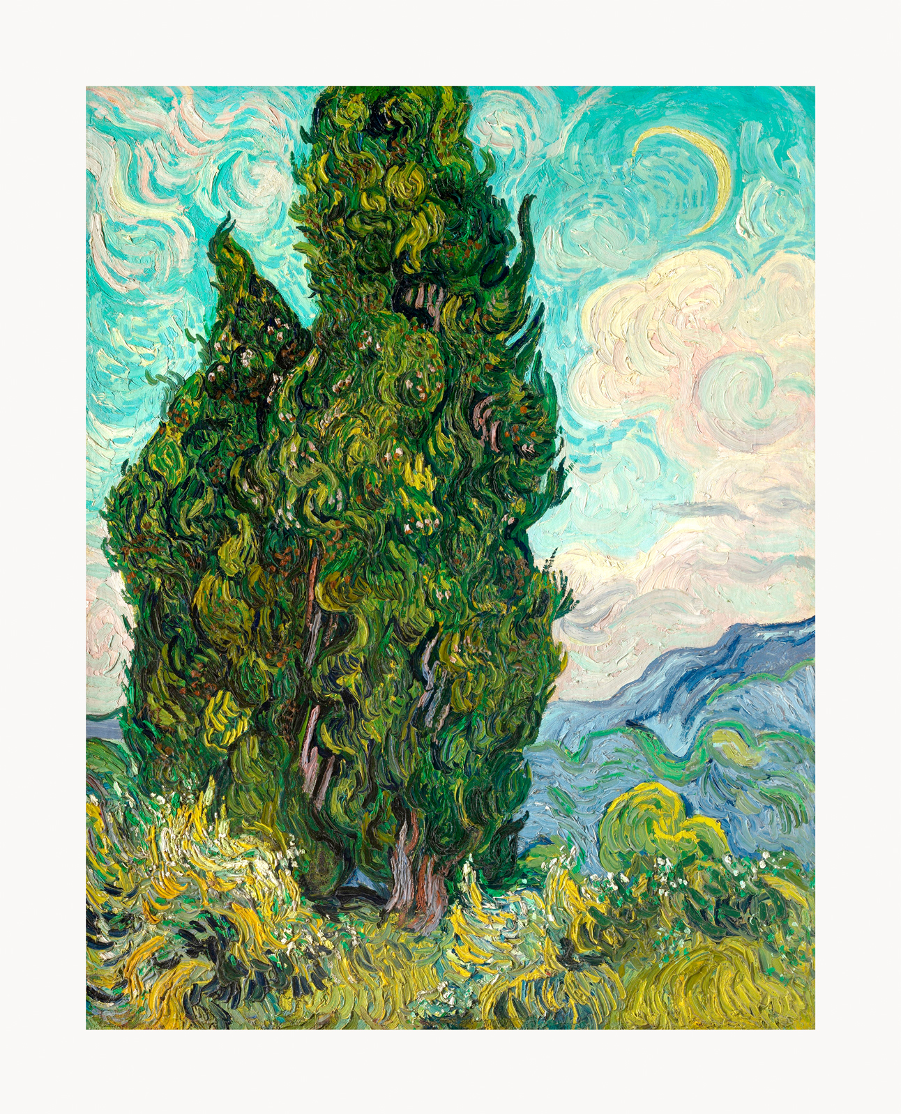 V06-41U-Canvas-Only