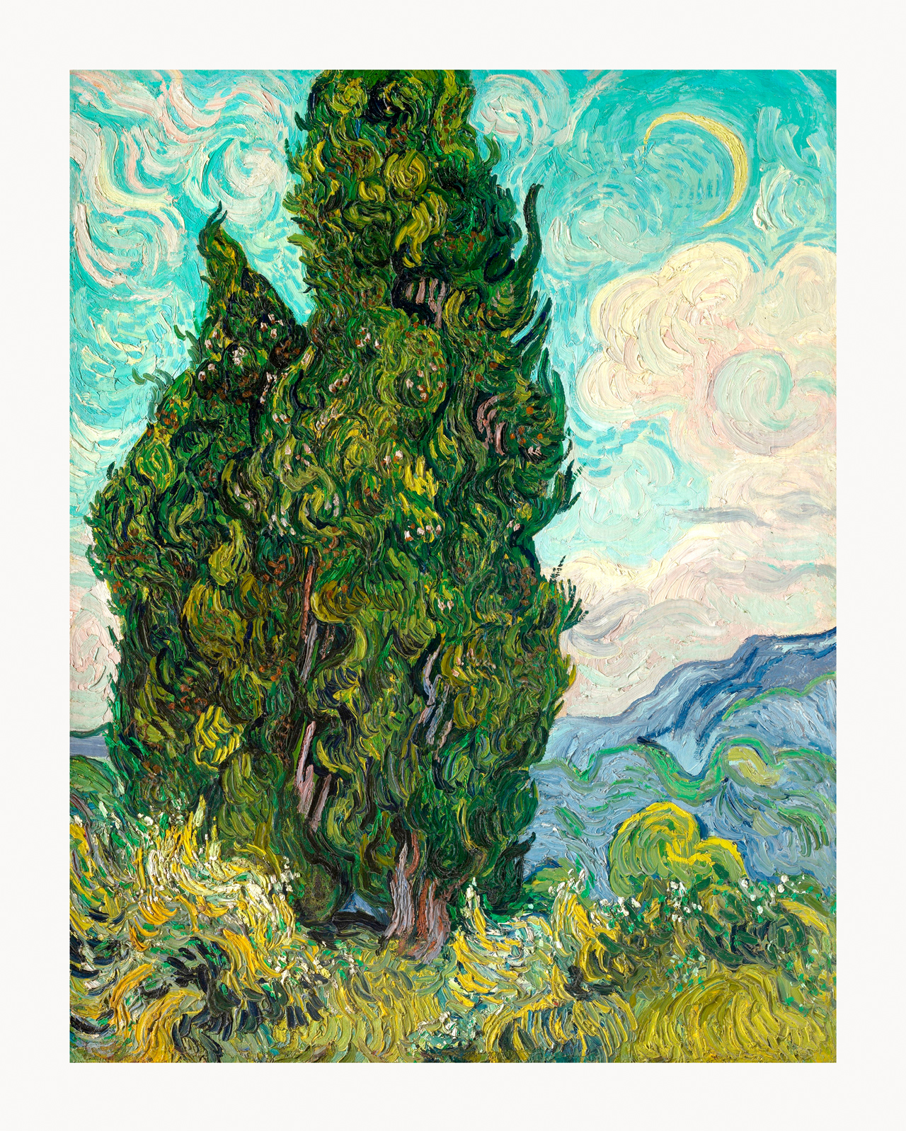 V06-42U-Canvas-Only