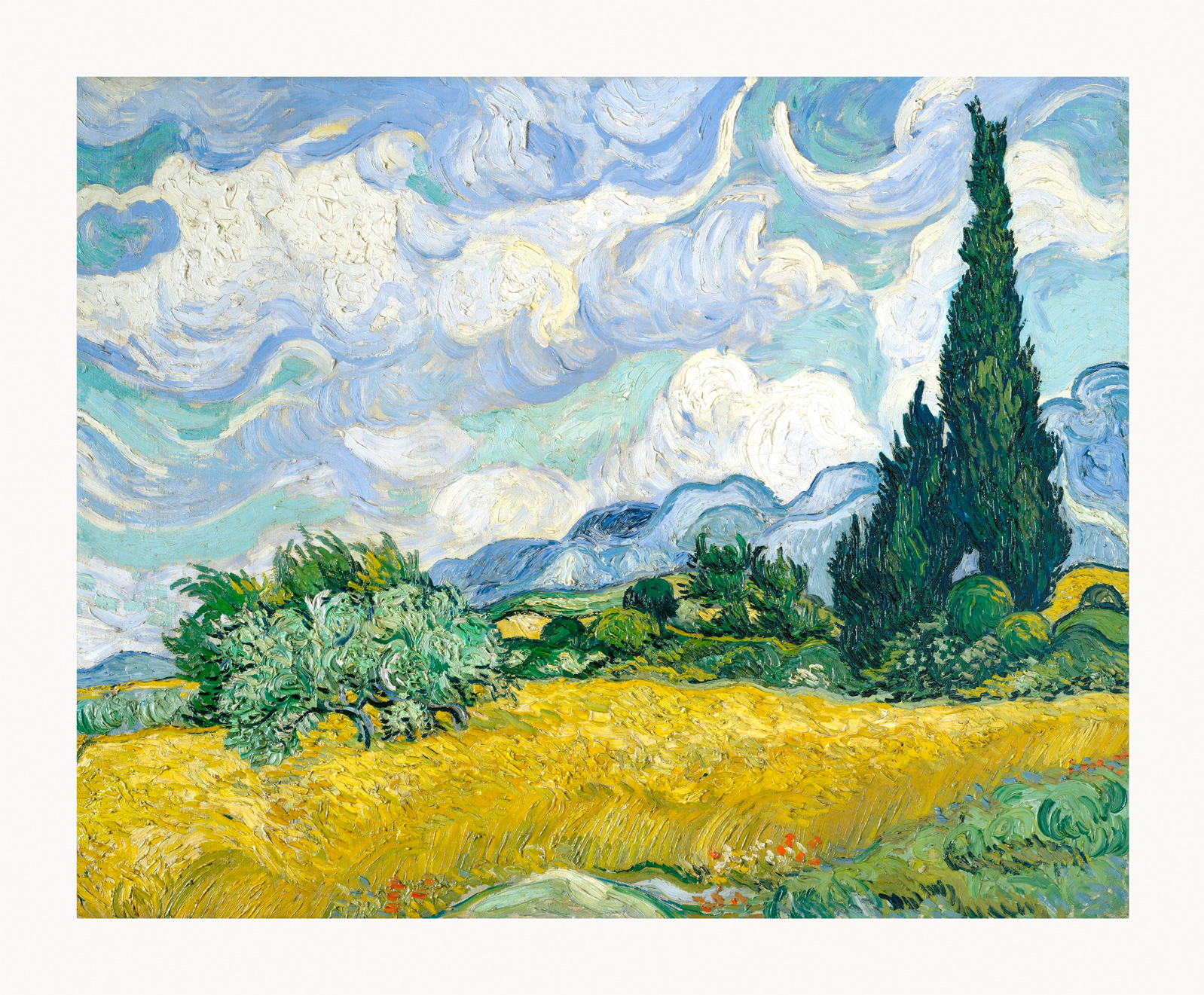 V06-48U-Canvas-Only