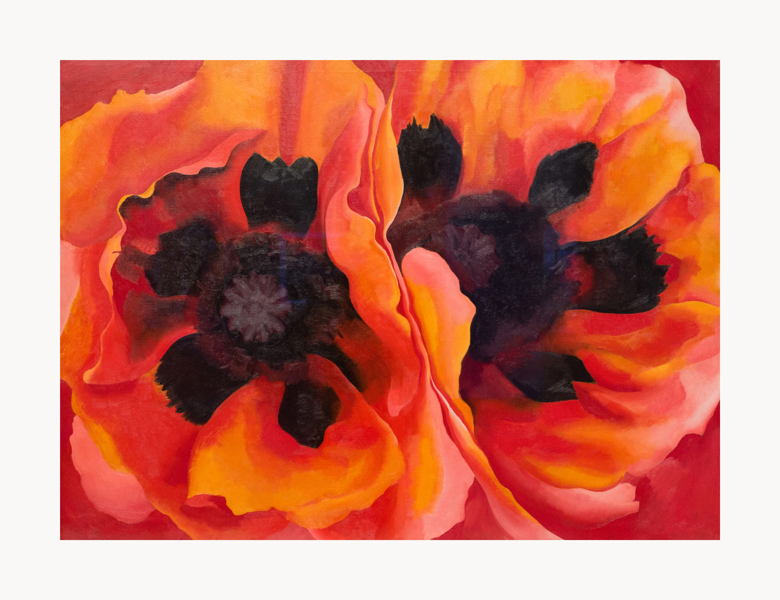 V08-13U-Canvas-Only