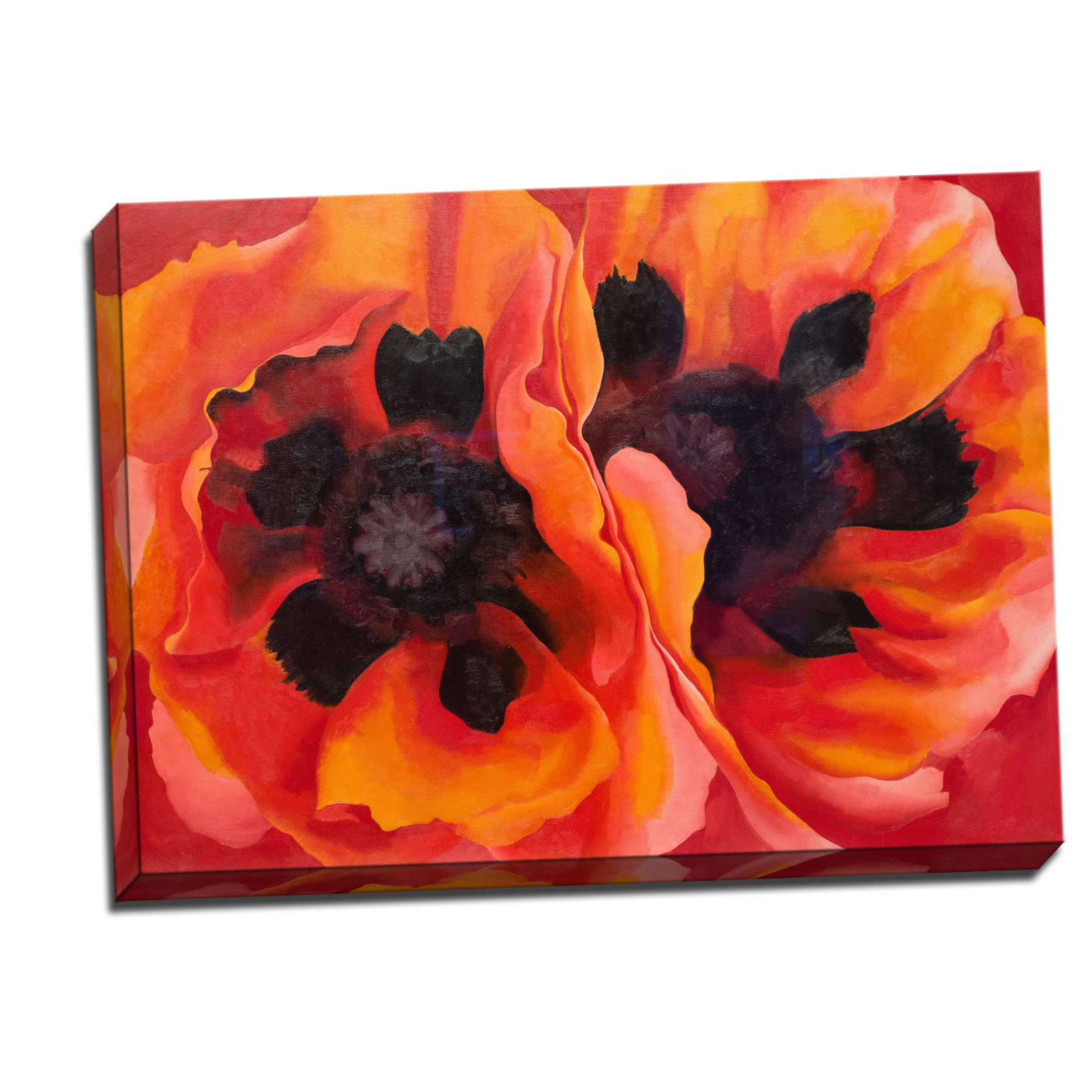 V08-13S-Reflected-Border