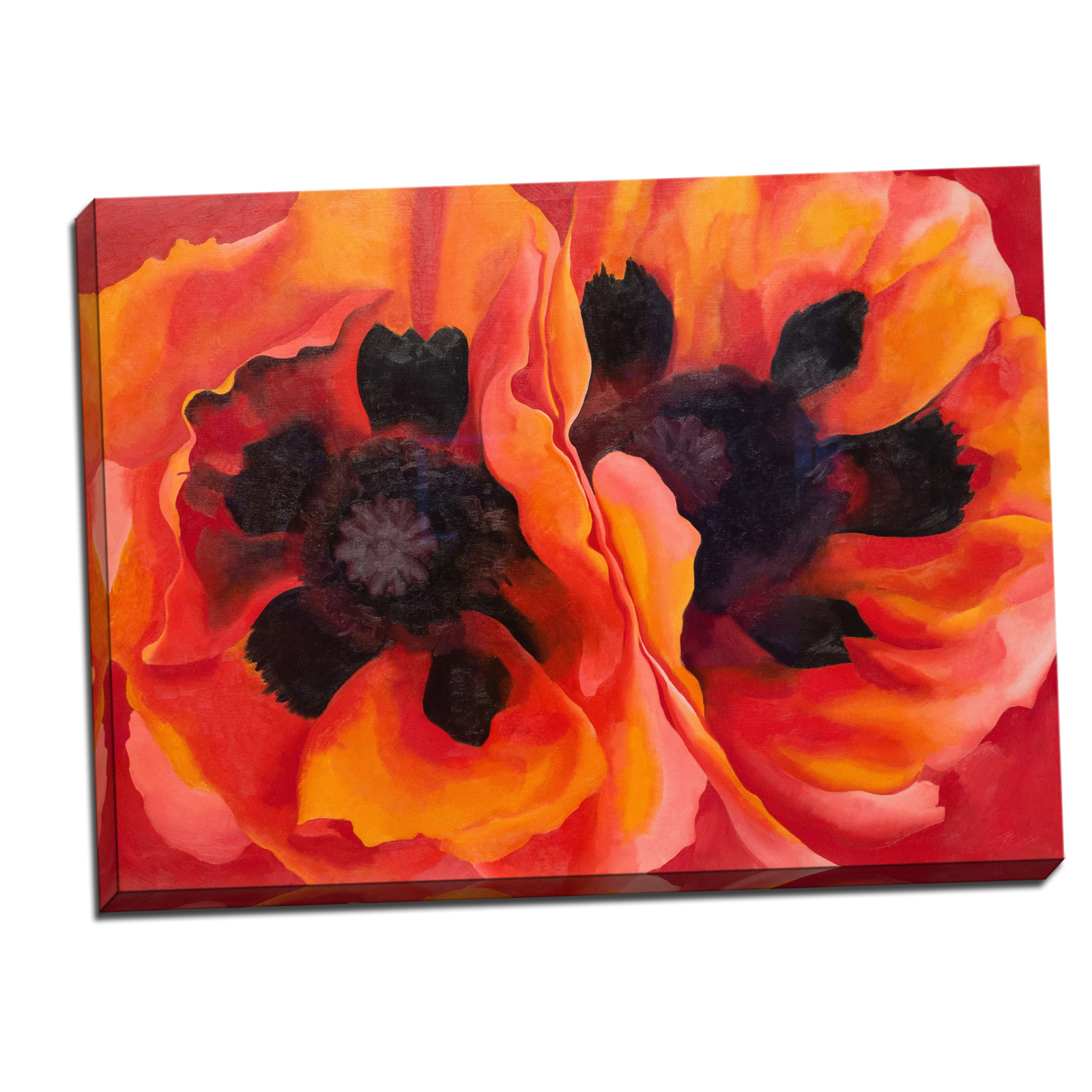 V08-14S-Reflected-Border