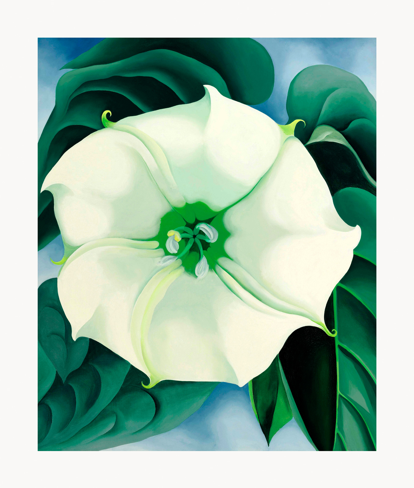 V08-15U-Canvas-Only