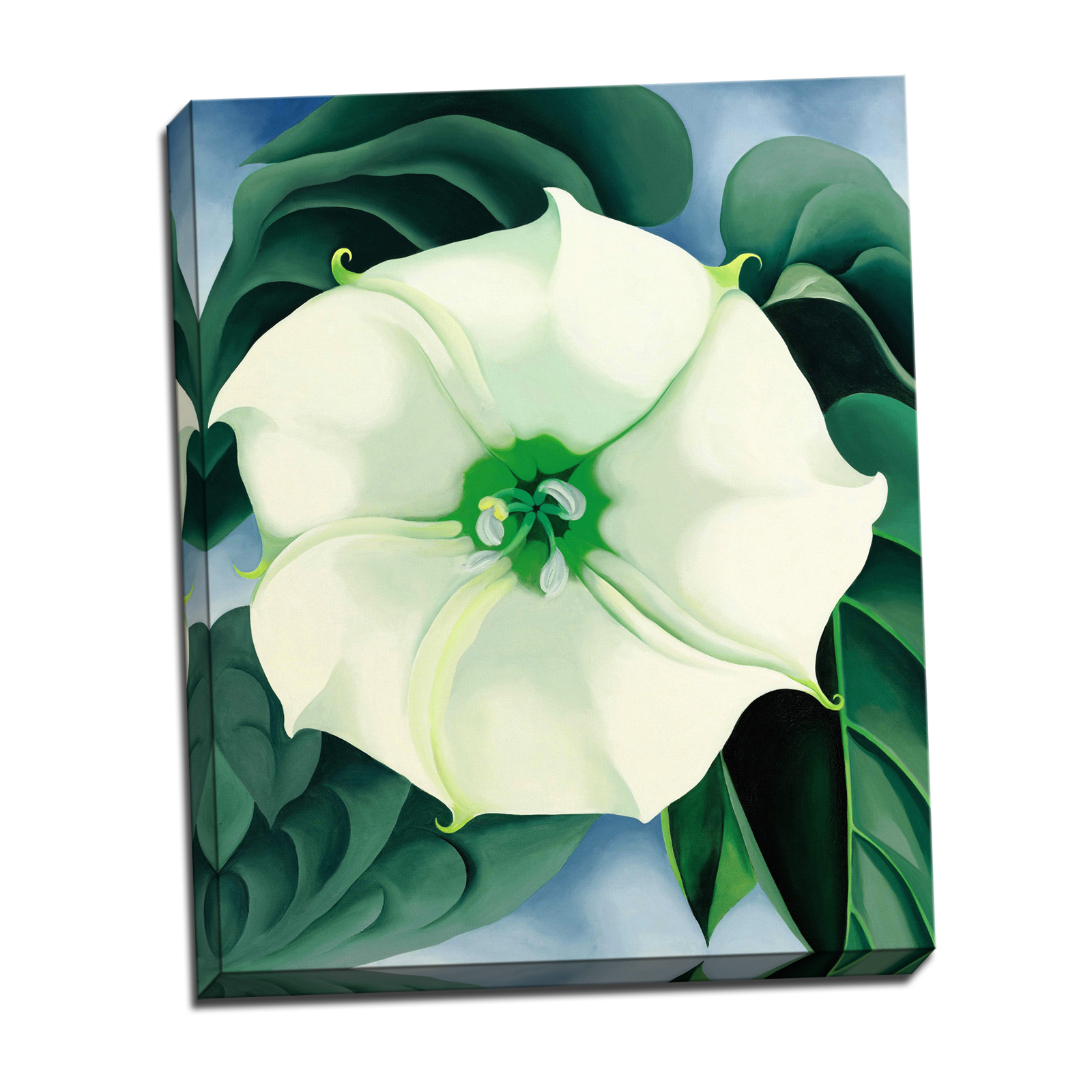 V08-15S-Reflected-Border