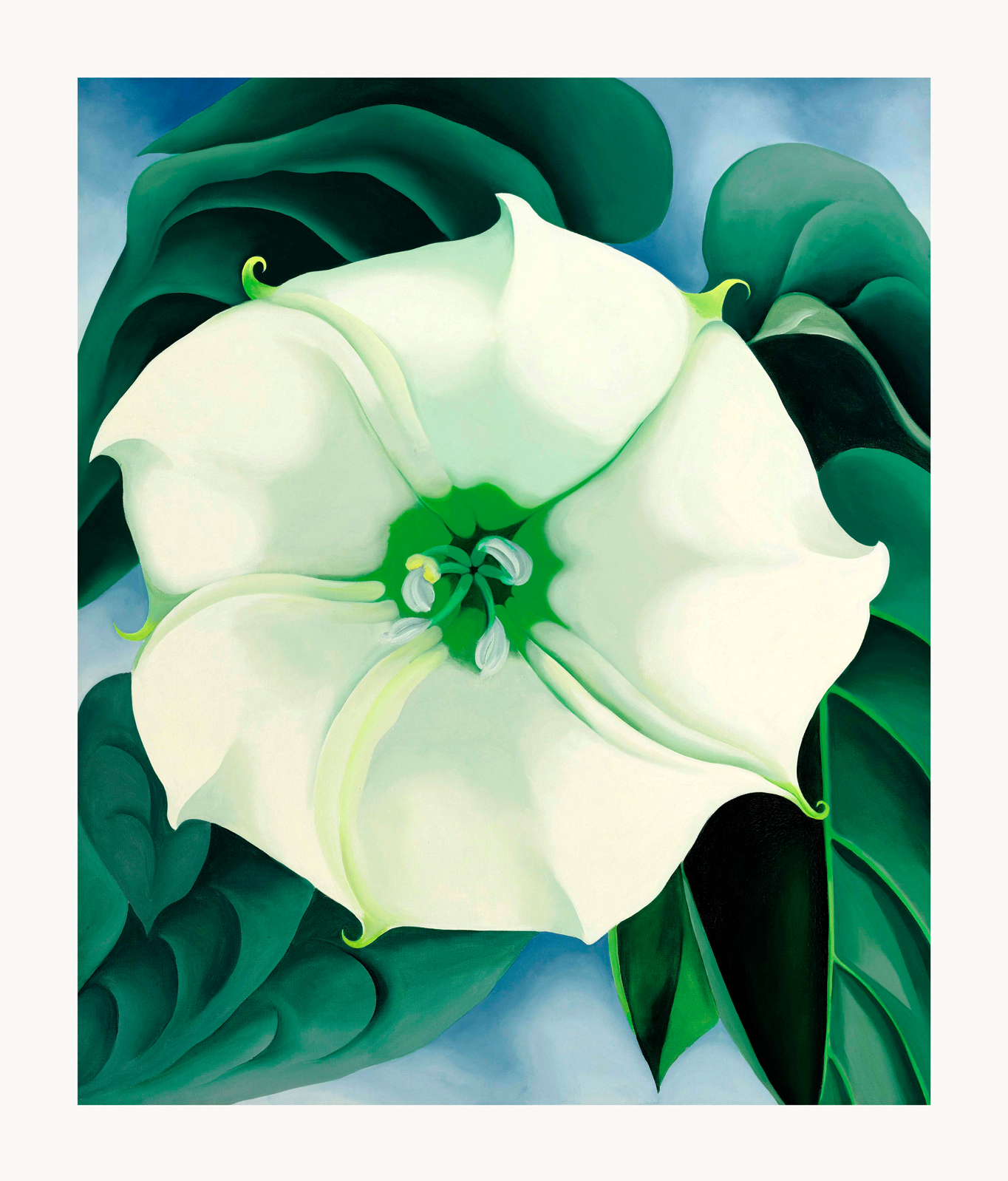 V08-16U-Canvas-Only