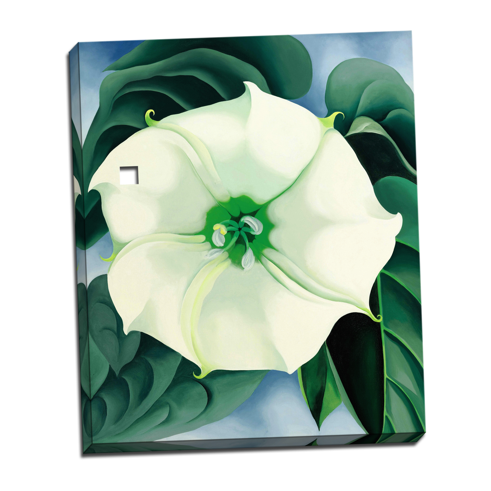 V08-16S-Reflected-Border