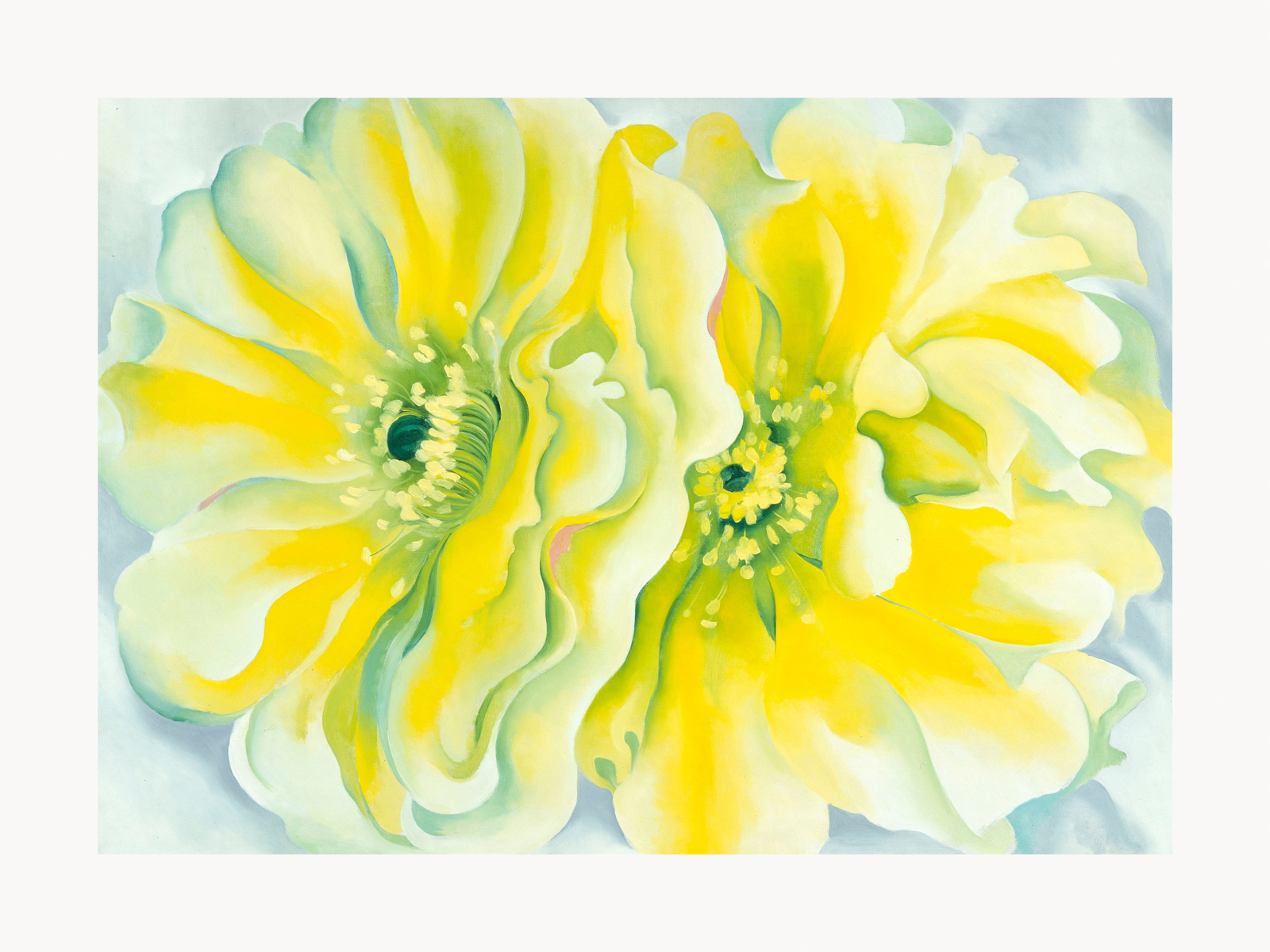 V08-17U-Canvas-Only