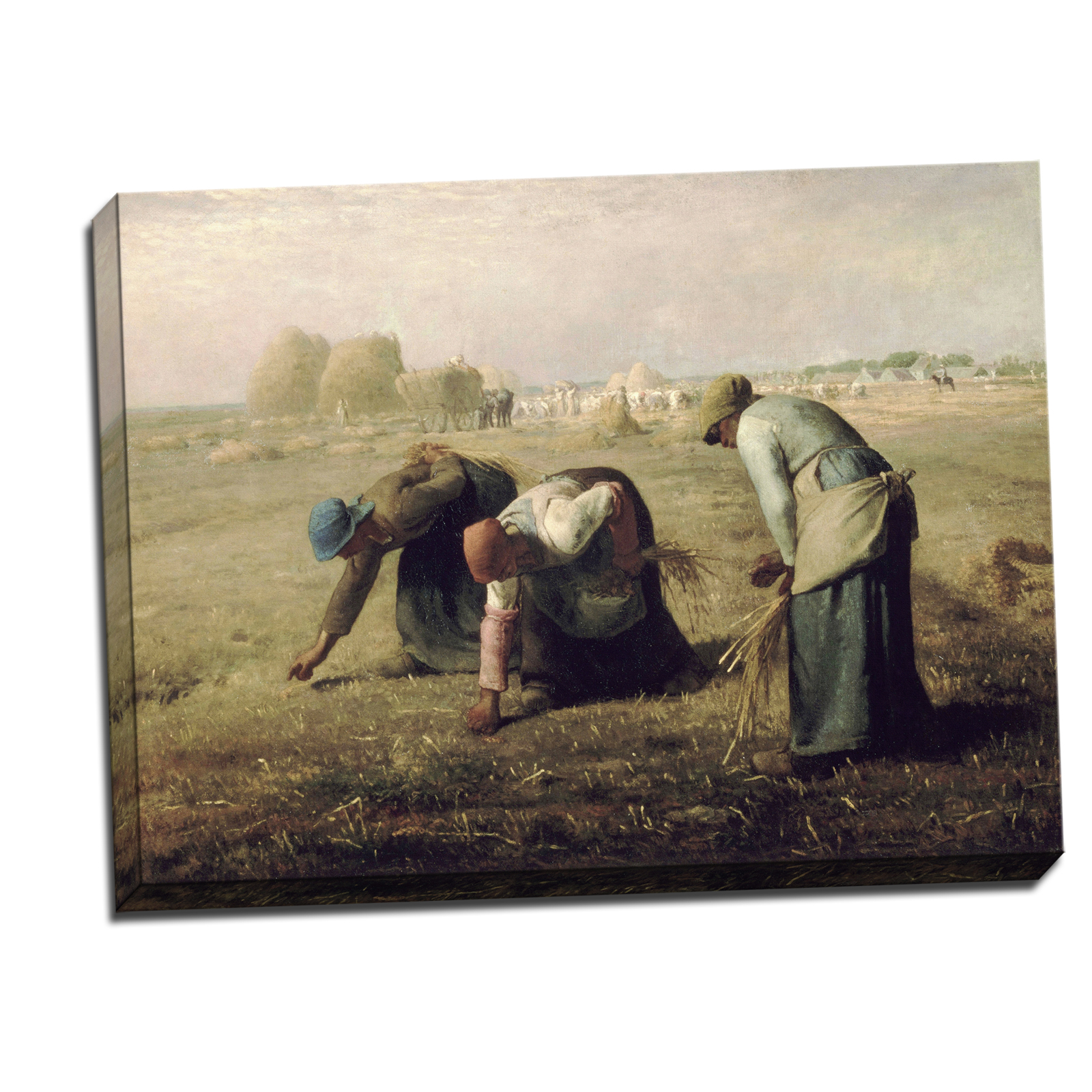 V08-24S-Reflected-Border