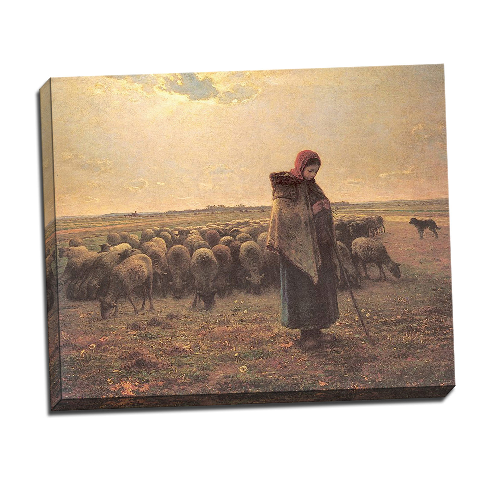 V08-28S-Reflected-Border