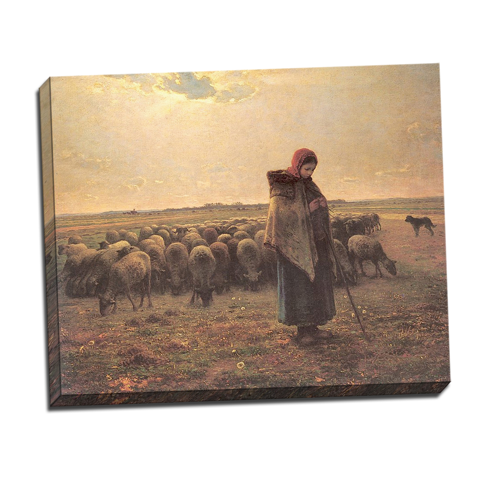 V08-28T-Stretched-Border