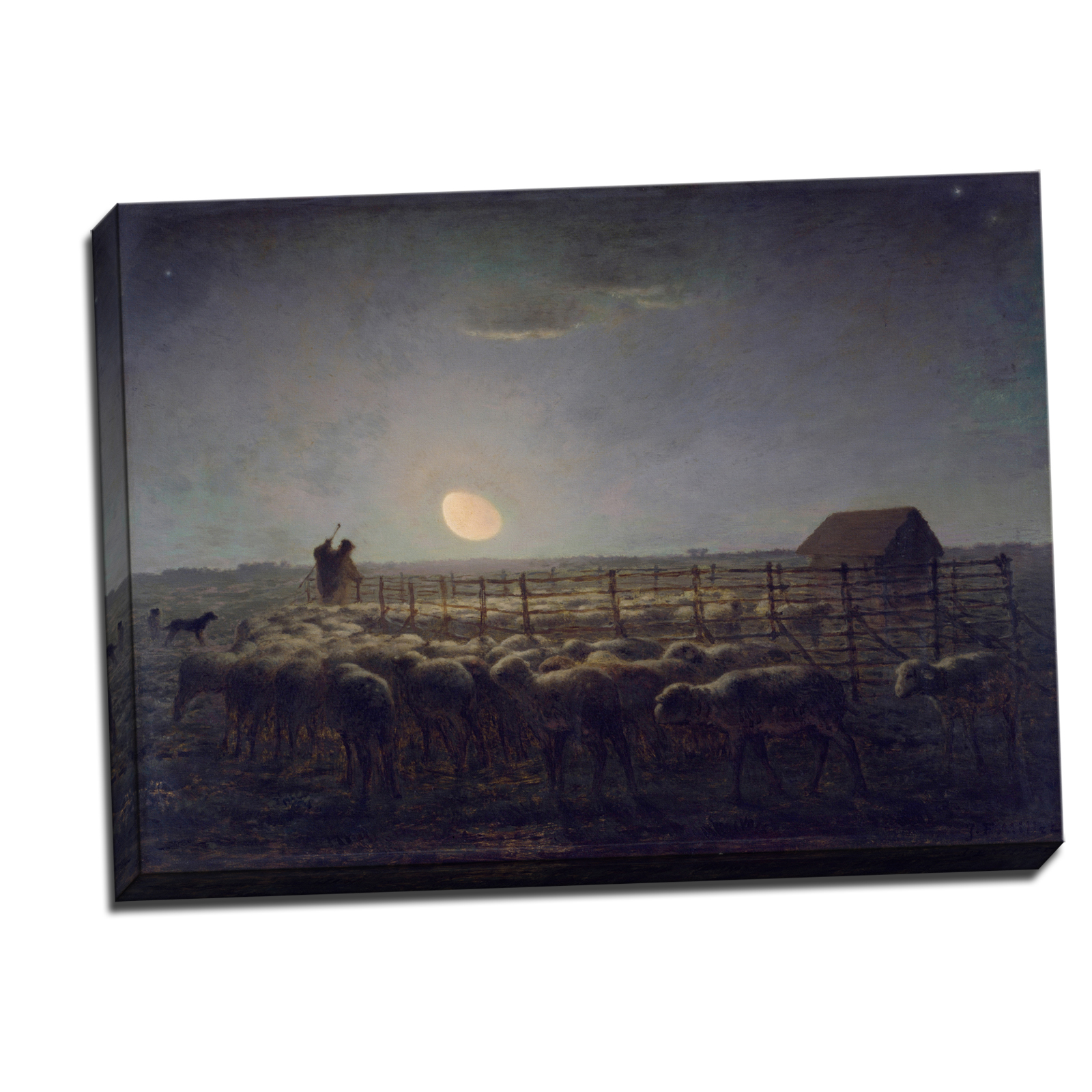 V08-34S-Reflected-Border