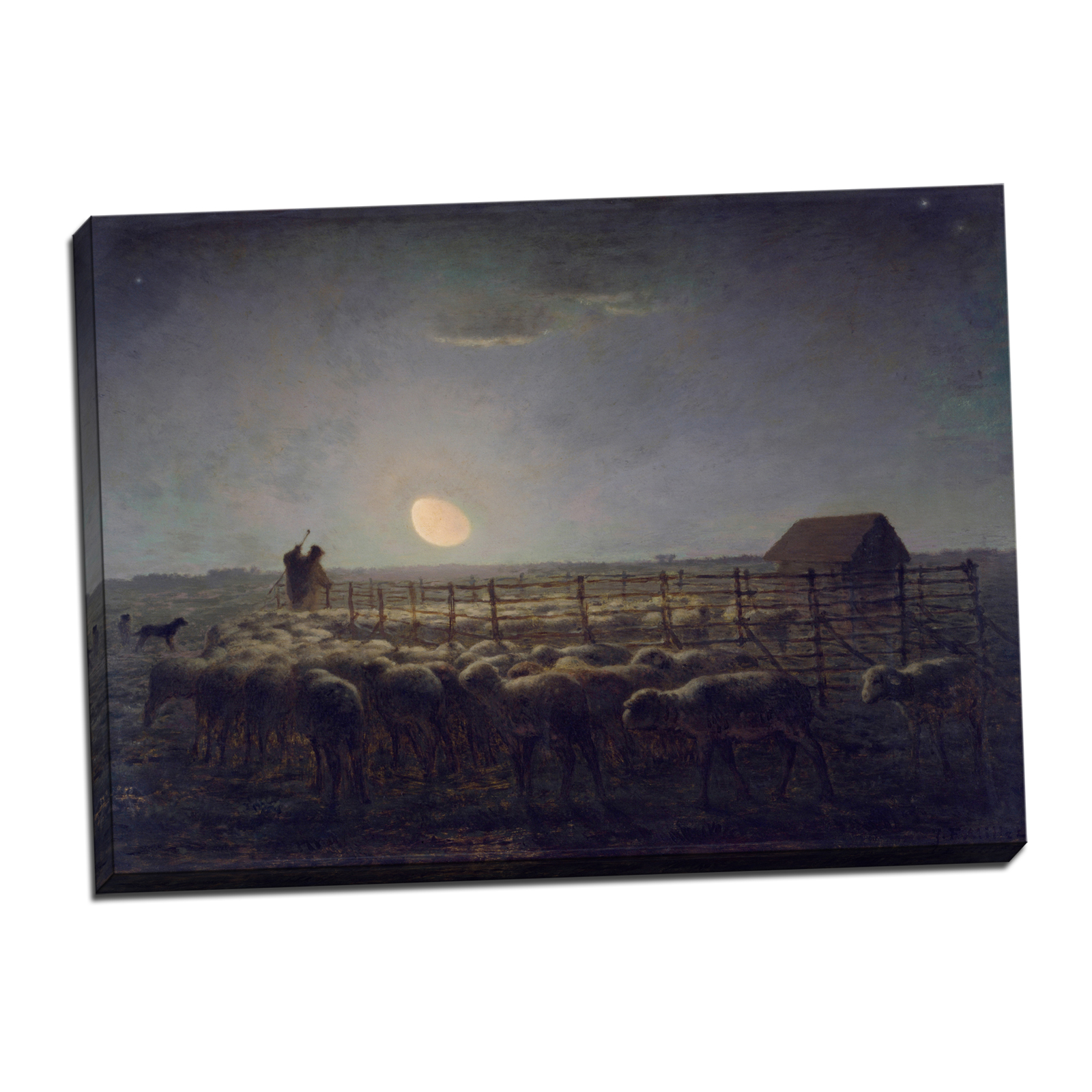 V08-35S-Reflected-Border