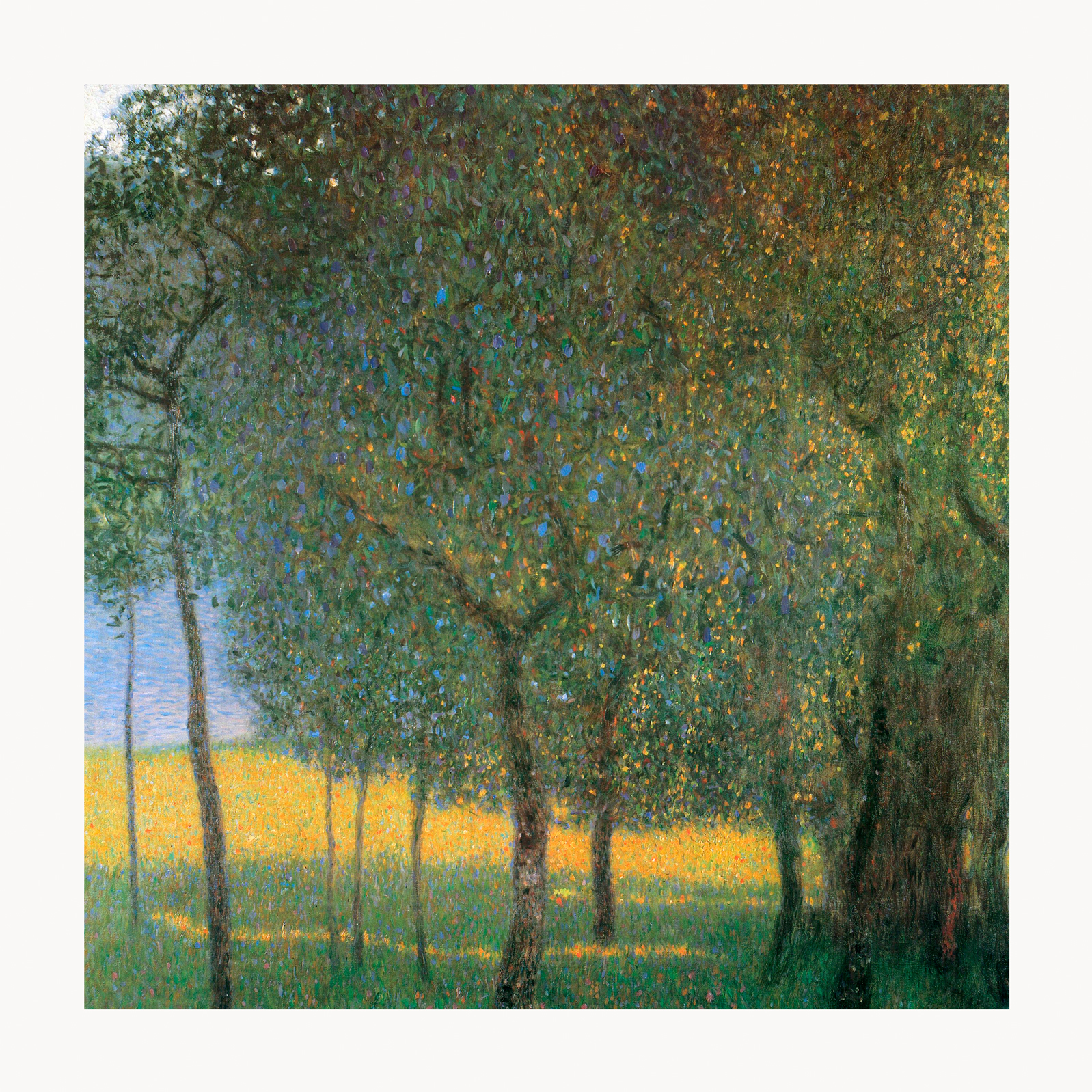V09-05U-Canvas-Only