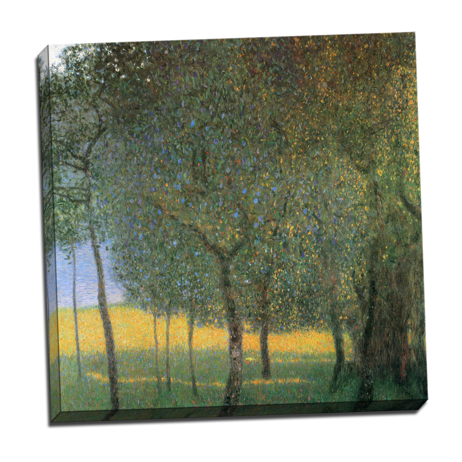 V09-05S-Reflected-Border