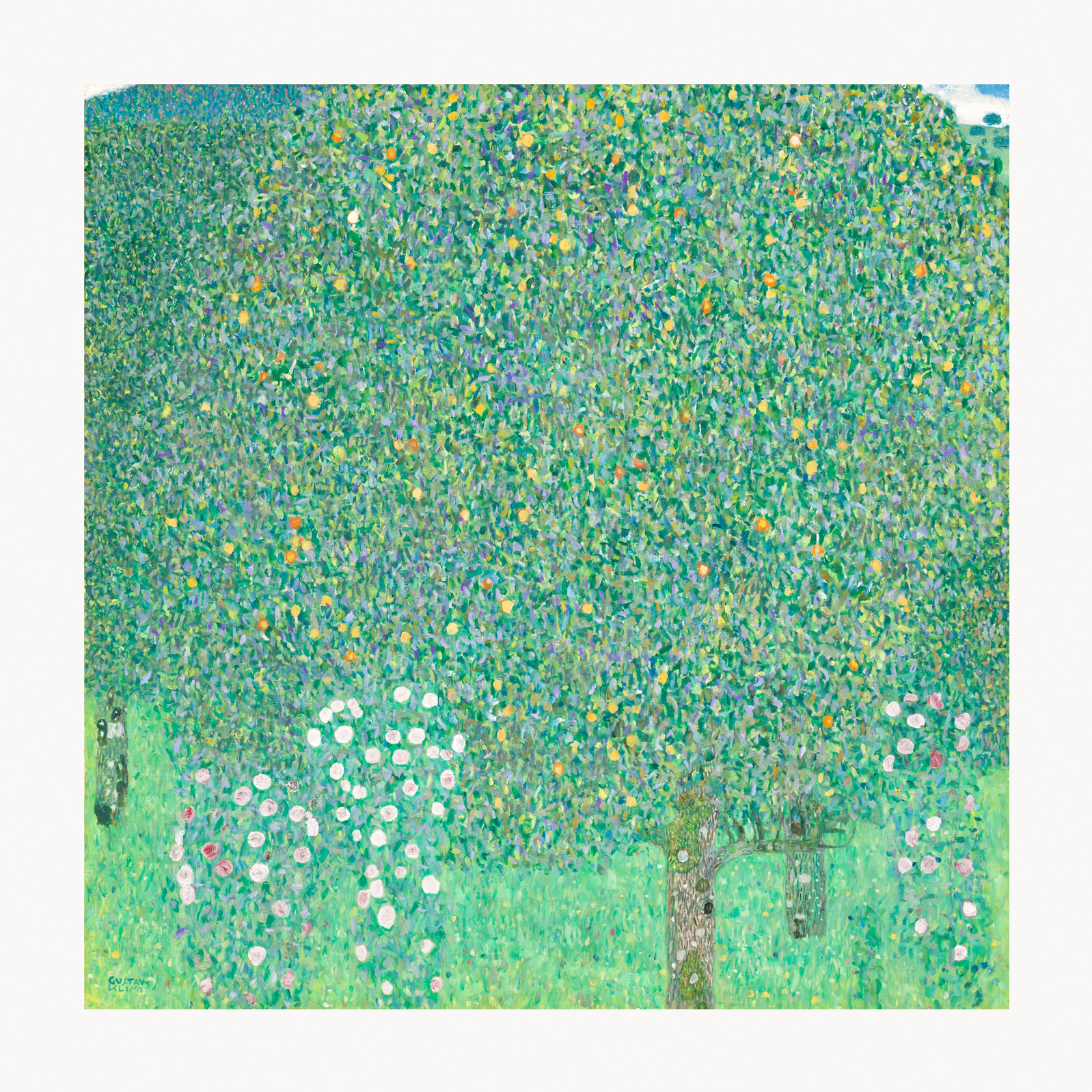 V09-09U-Canvas-Only