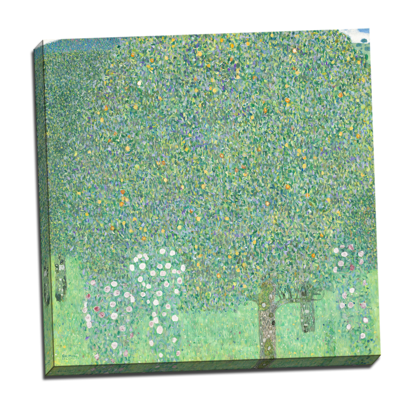 V09-09S-Reflected-Border
