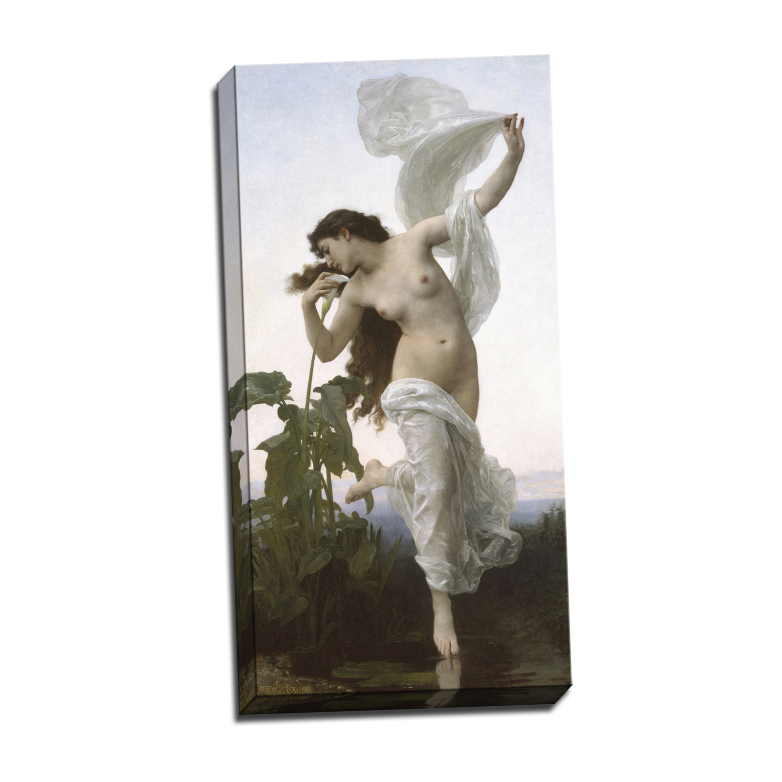 V09-28S-Reflected-Border