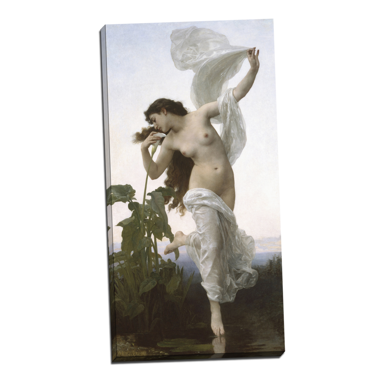 V09-29S-Reflected-Border