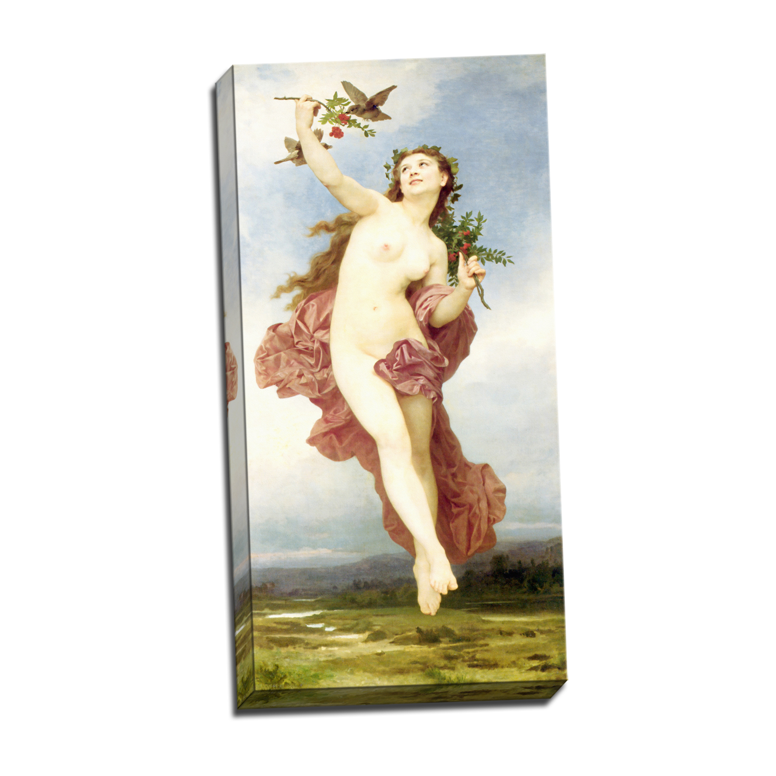 V09-30S-Reflected-Border