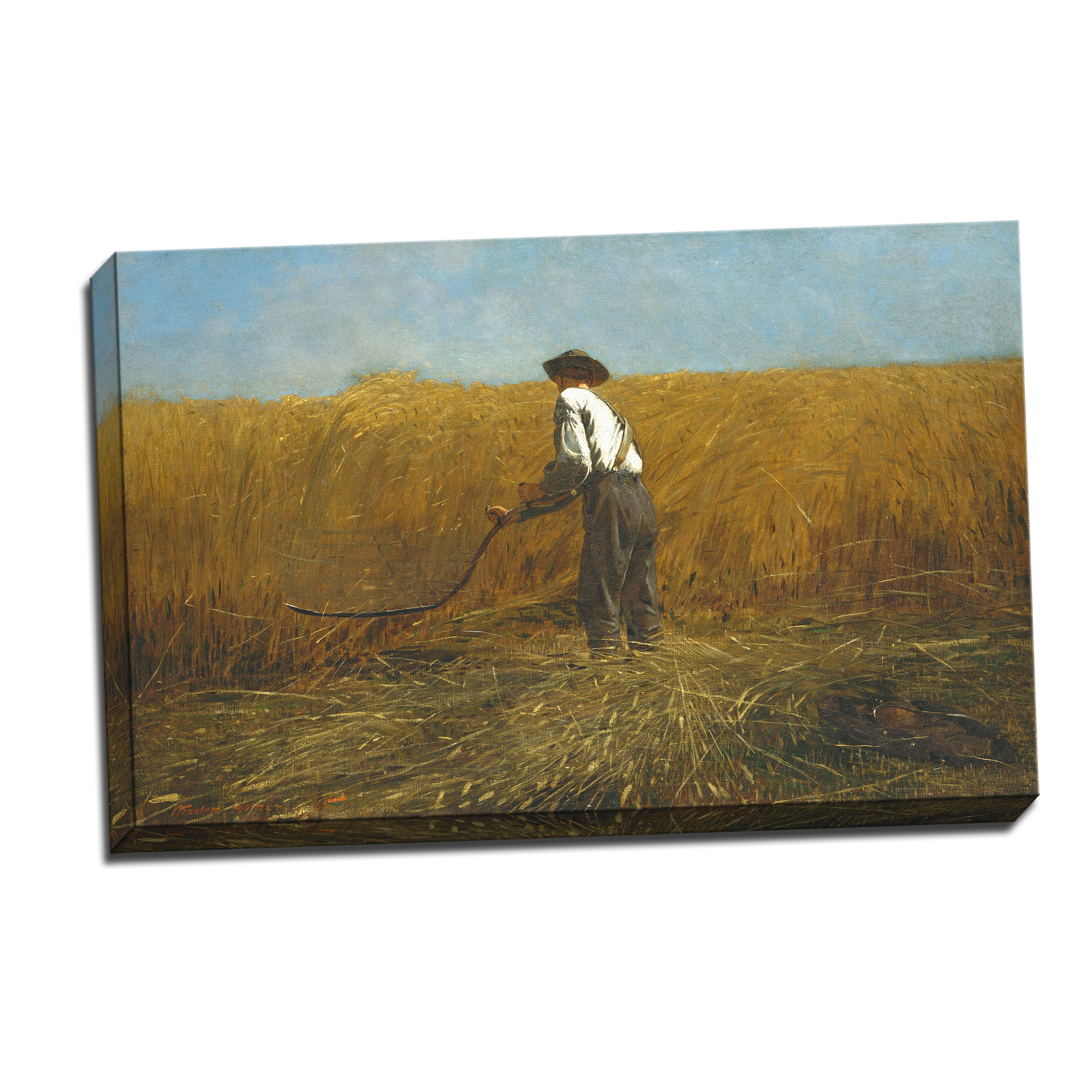 V09-40S-Reflected-Border