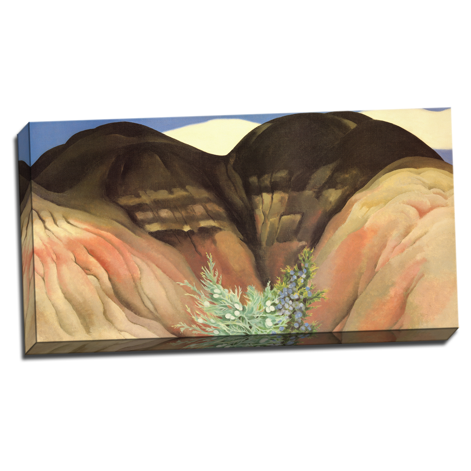 V13-25S-Reflected-Border