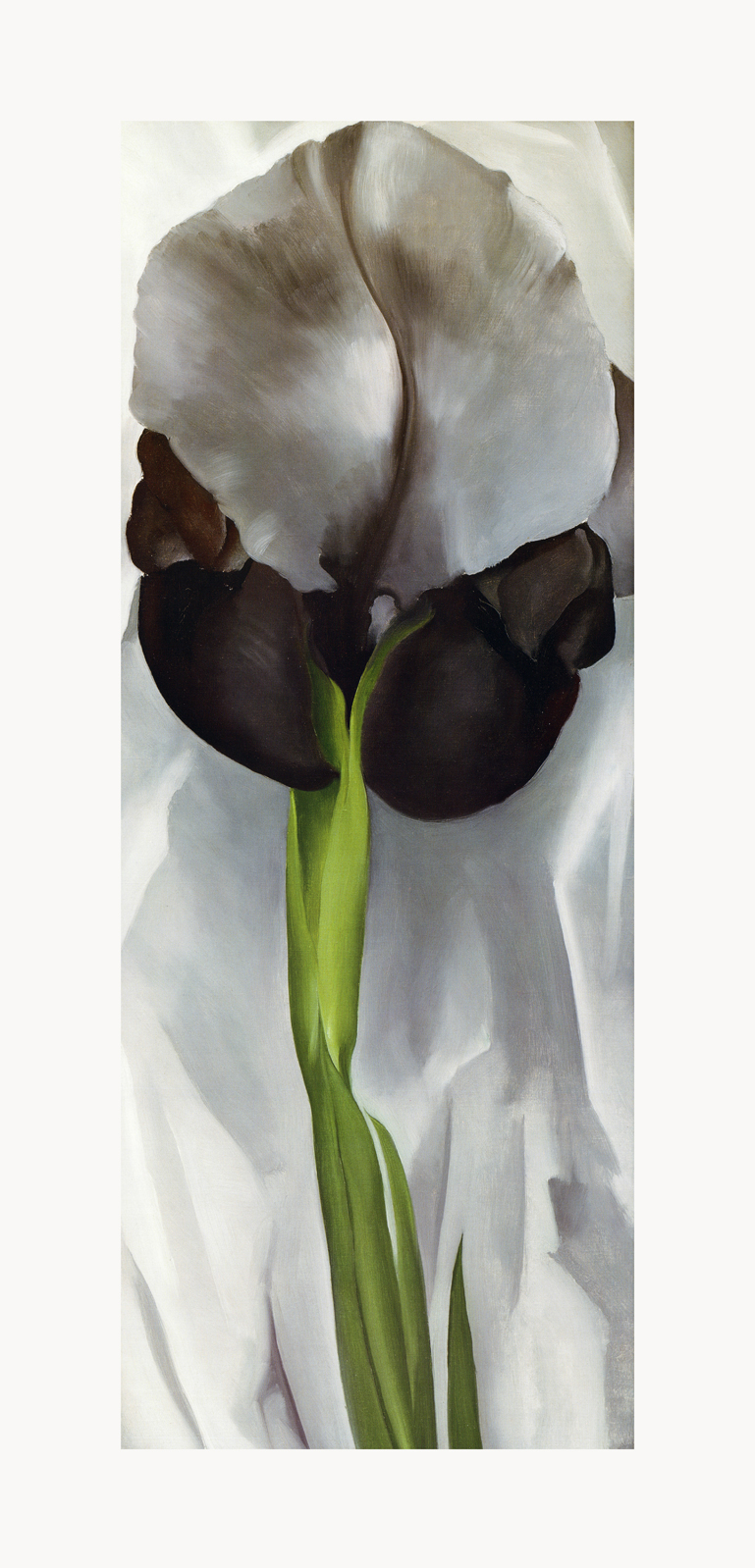 V13-27U-Canvas-Only