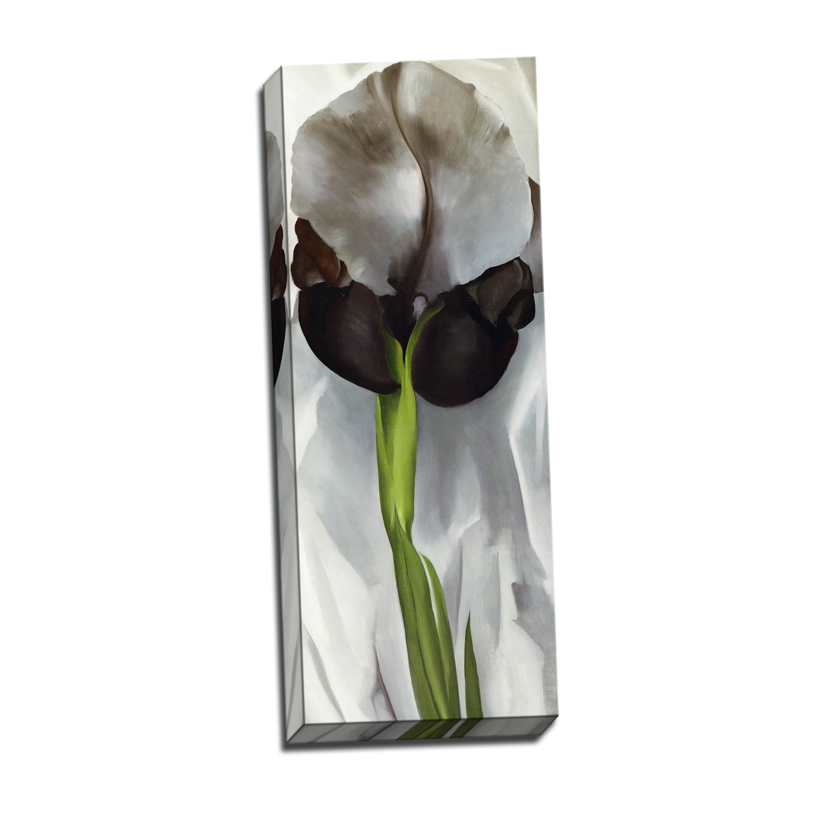 V13-27S-Reflected-Border