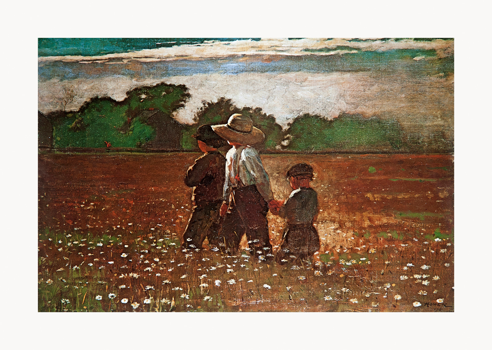 V13-56U-Canvas-Only