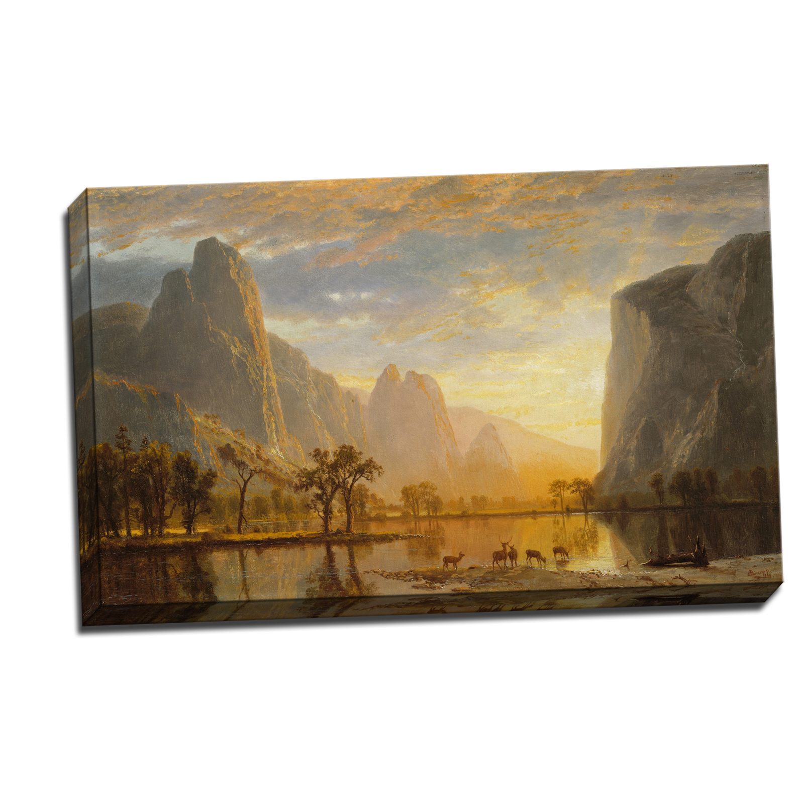 V14-01S-Reflected-Border