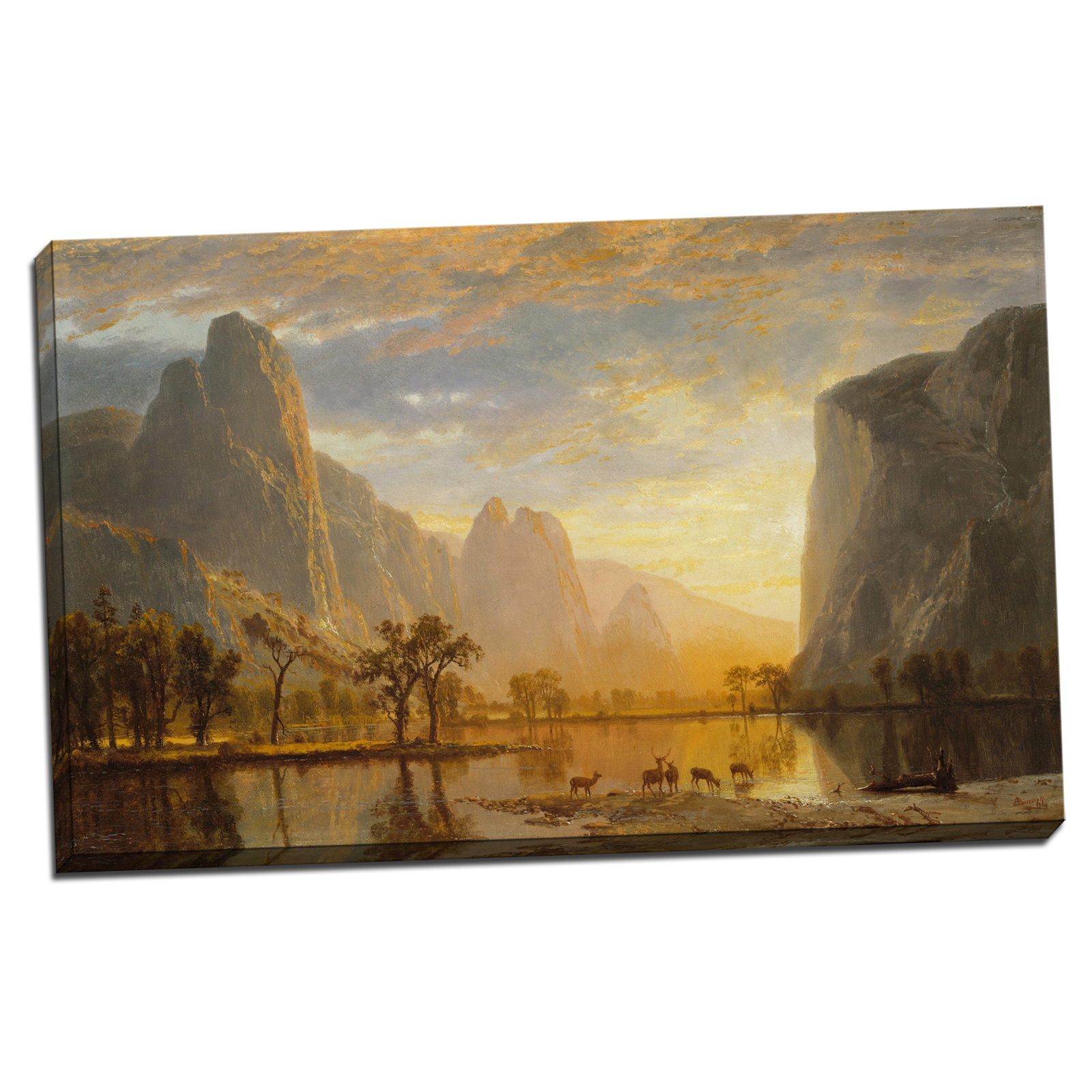 V14-02S-Reflected-Border