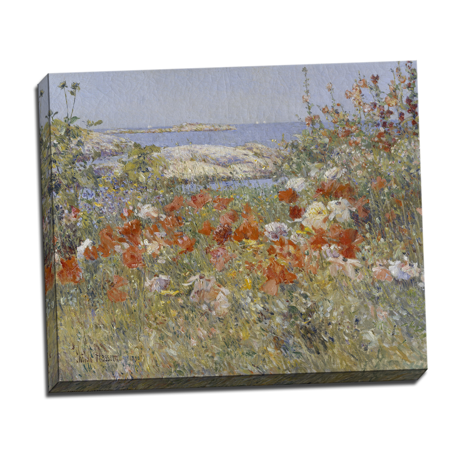 V14-15S-Reflected-Border