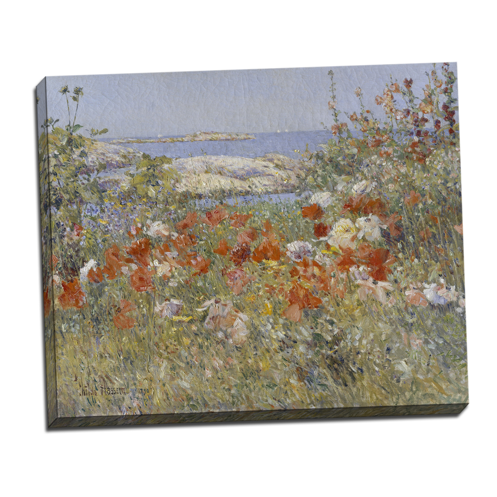 V14-16S-Reflected-Border