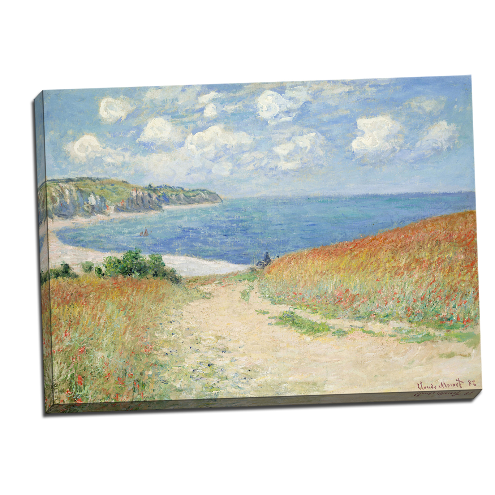 V14-20S-Reflected-Border