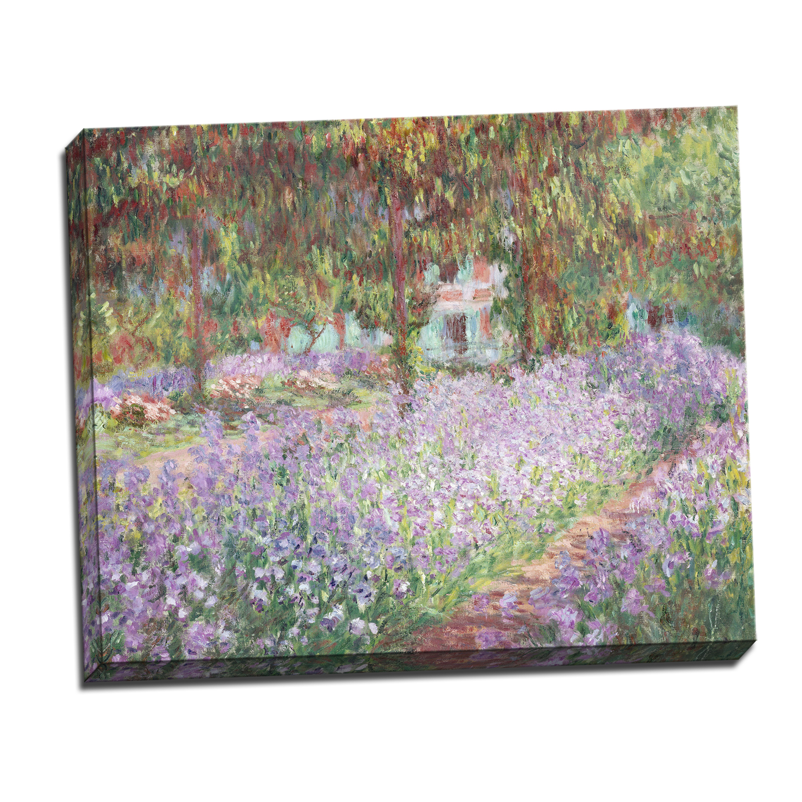 V14-25S-Reflected-Border
