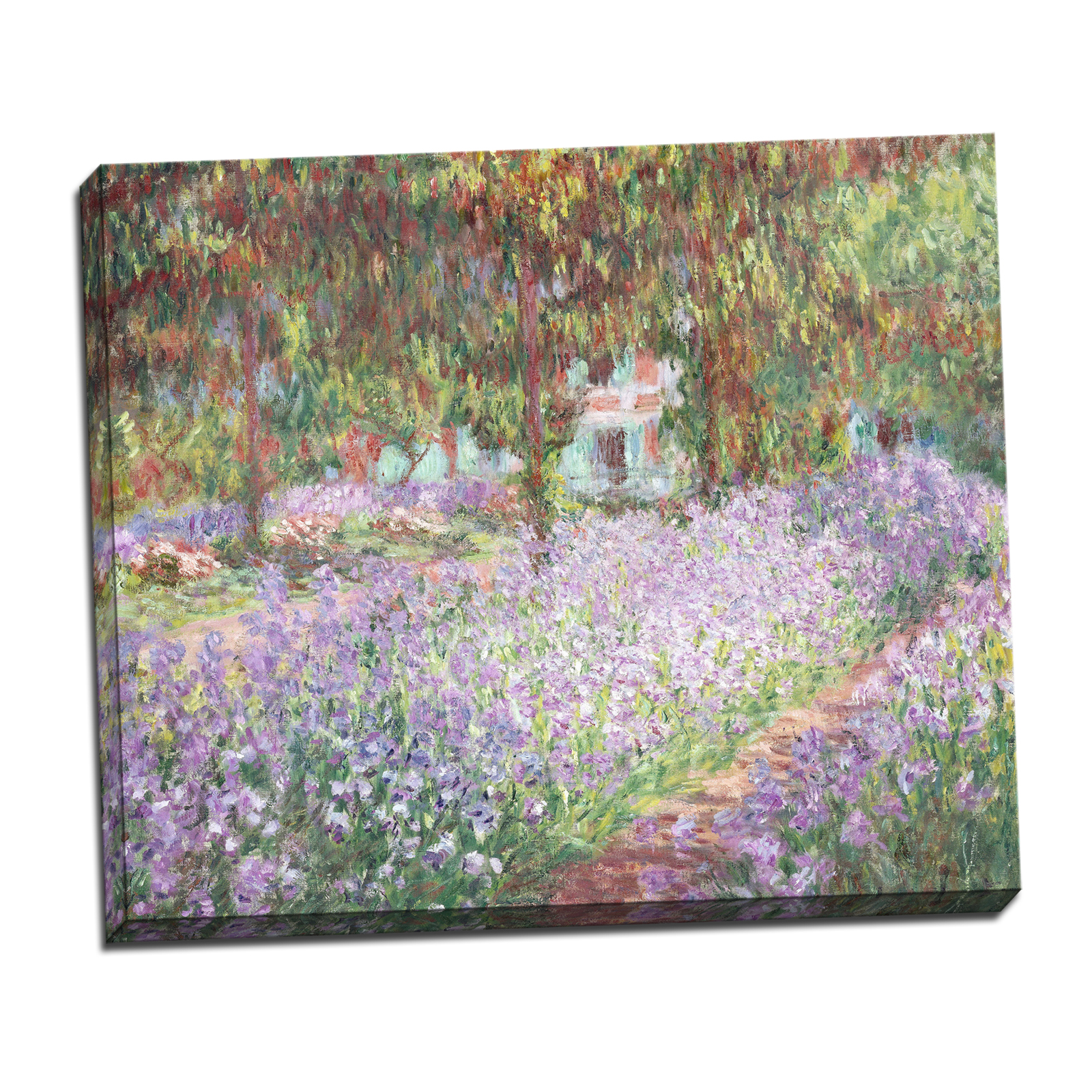 V14-26S-Reflected-Border