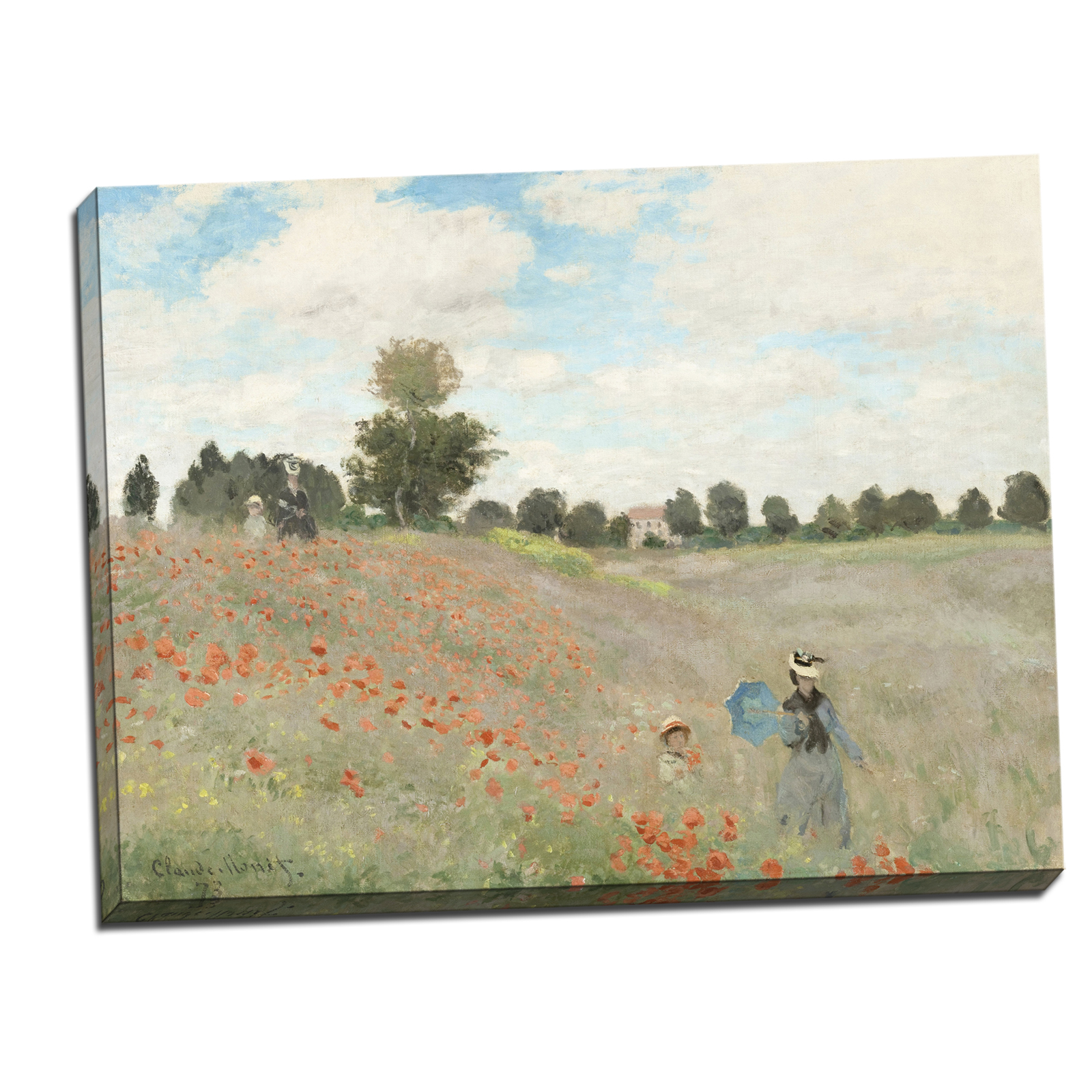 V15-06S-Reflected-Border
